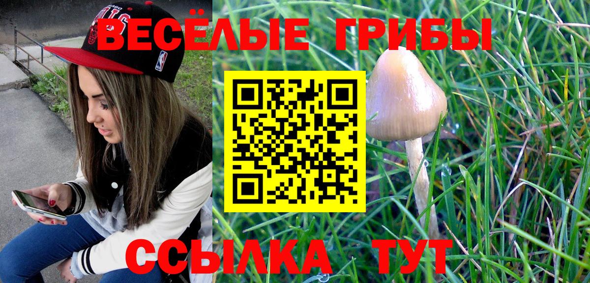 Галлюциногенные грибы MAGIC MUSHROOMS Ангарск